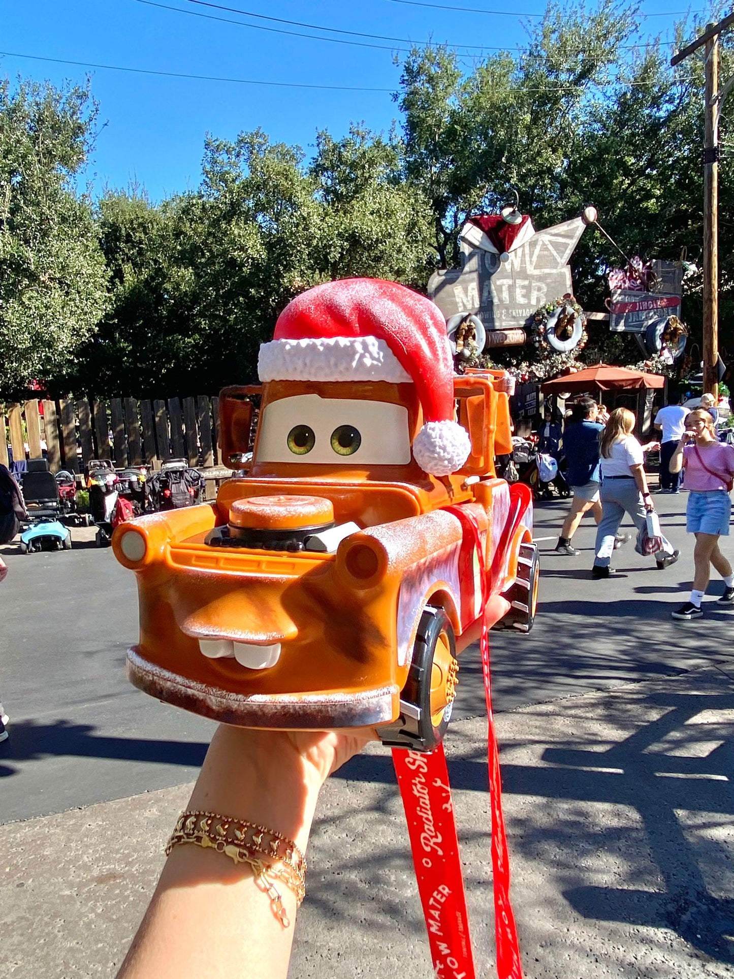 Mater Palomera - ENVÍO EXPRÉS GRATIS