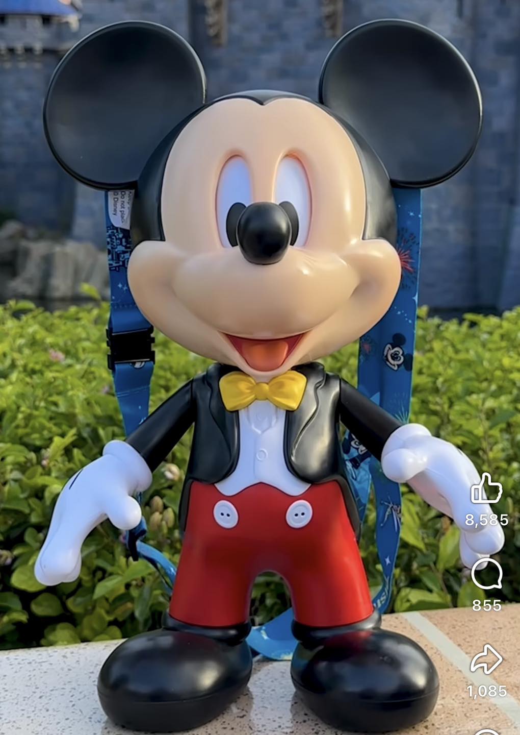 PALOMERA MICKEY 70th DISNEY PARKS