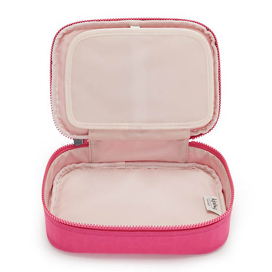 Copia de 100 Pens Case