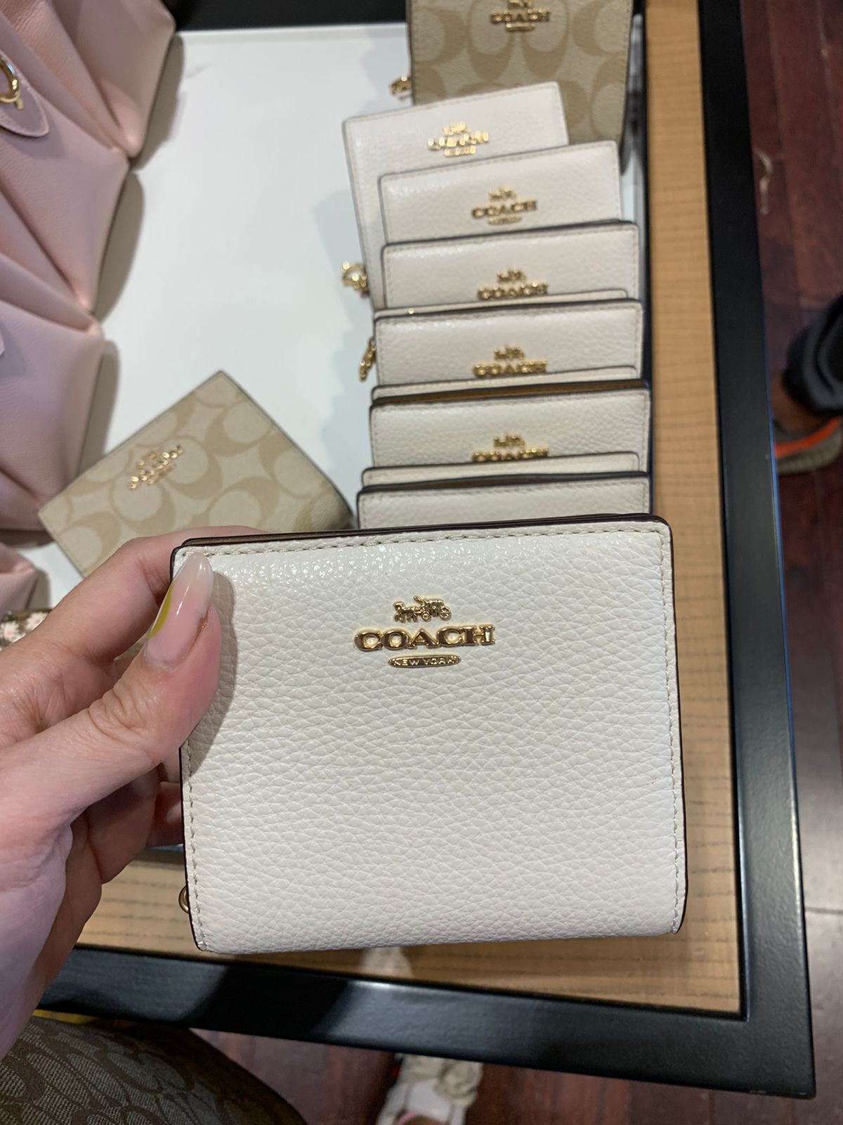 Small Card Case~ White