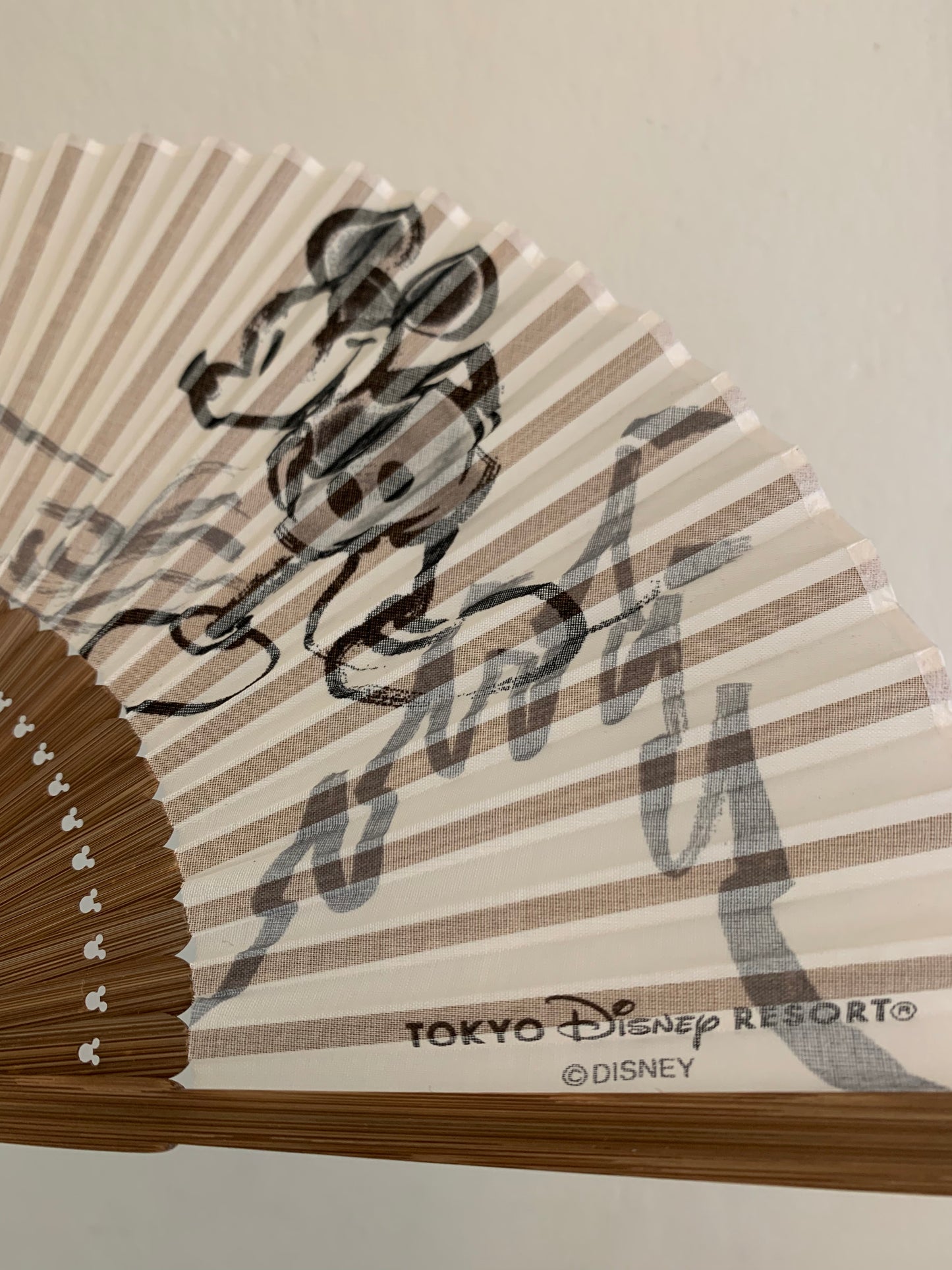 ABANICO DISNEY TOKYO