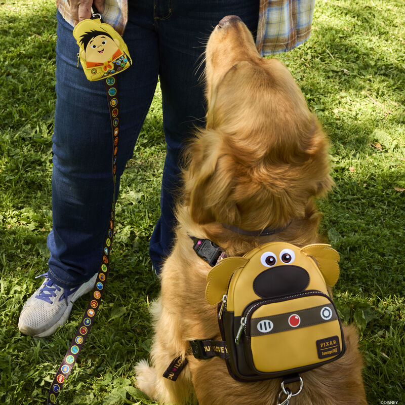 Up 15th Anniversary Wilderness Explorer Badges Leash