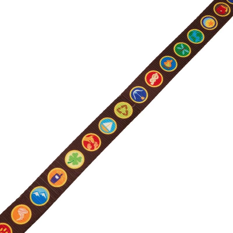 Up 15th Anniversary Wilderness Explorer Badges Leash