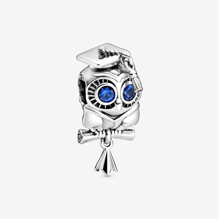 Wise Owl Graduation Charm