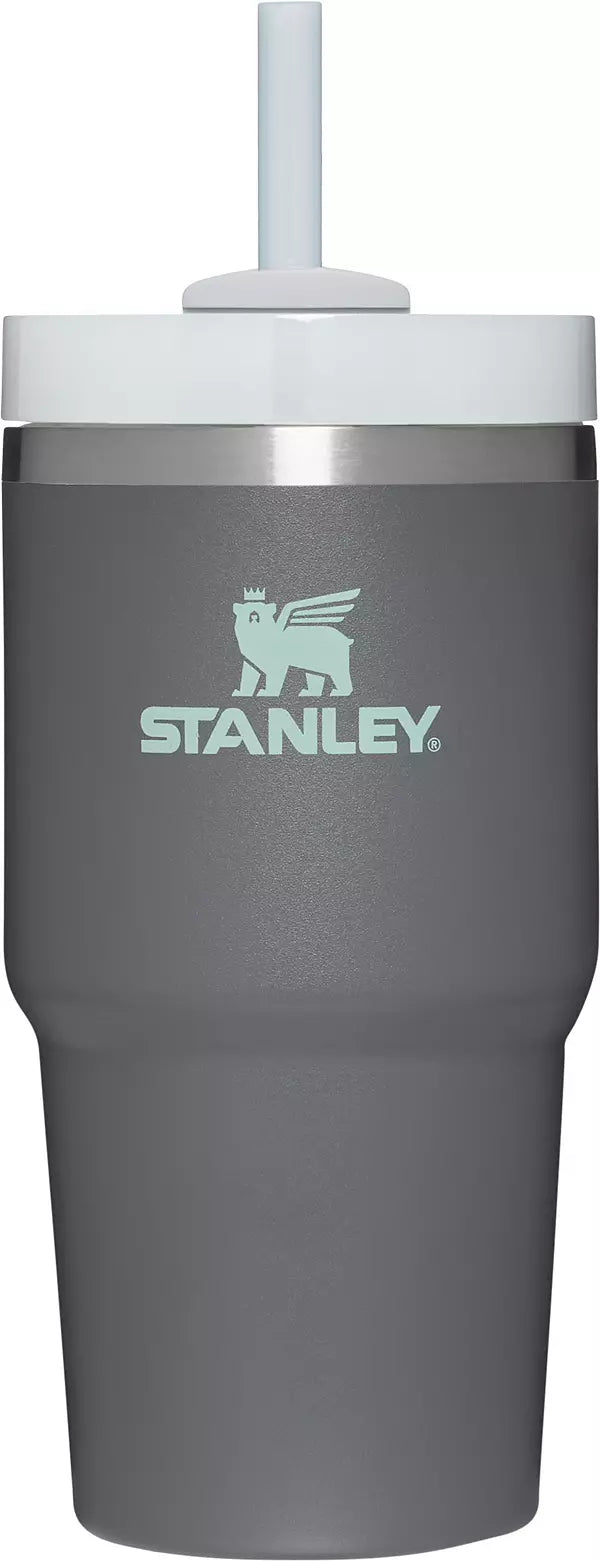 Stanley 20 oz. Quencher H2.0 FlowState Tumbler - Charcoal