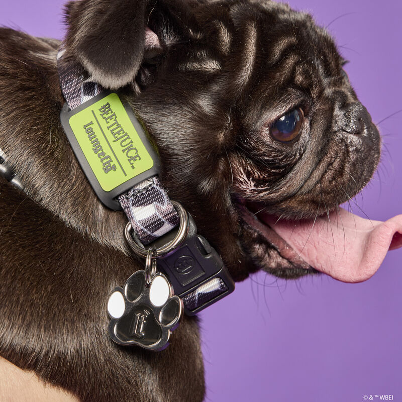 Beetlejuice Sandworm Dog Collar