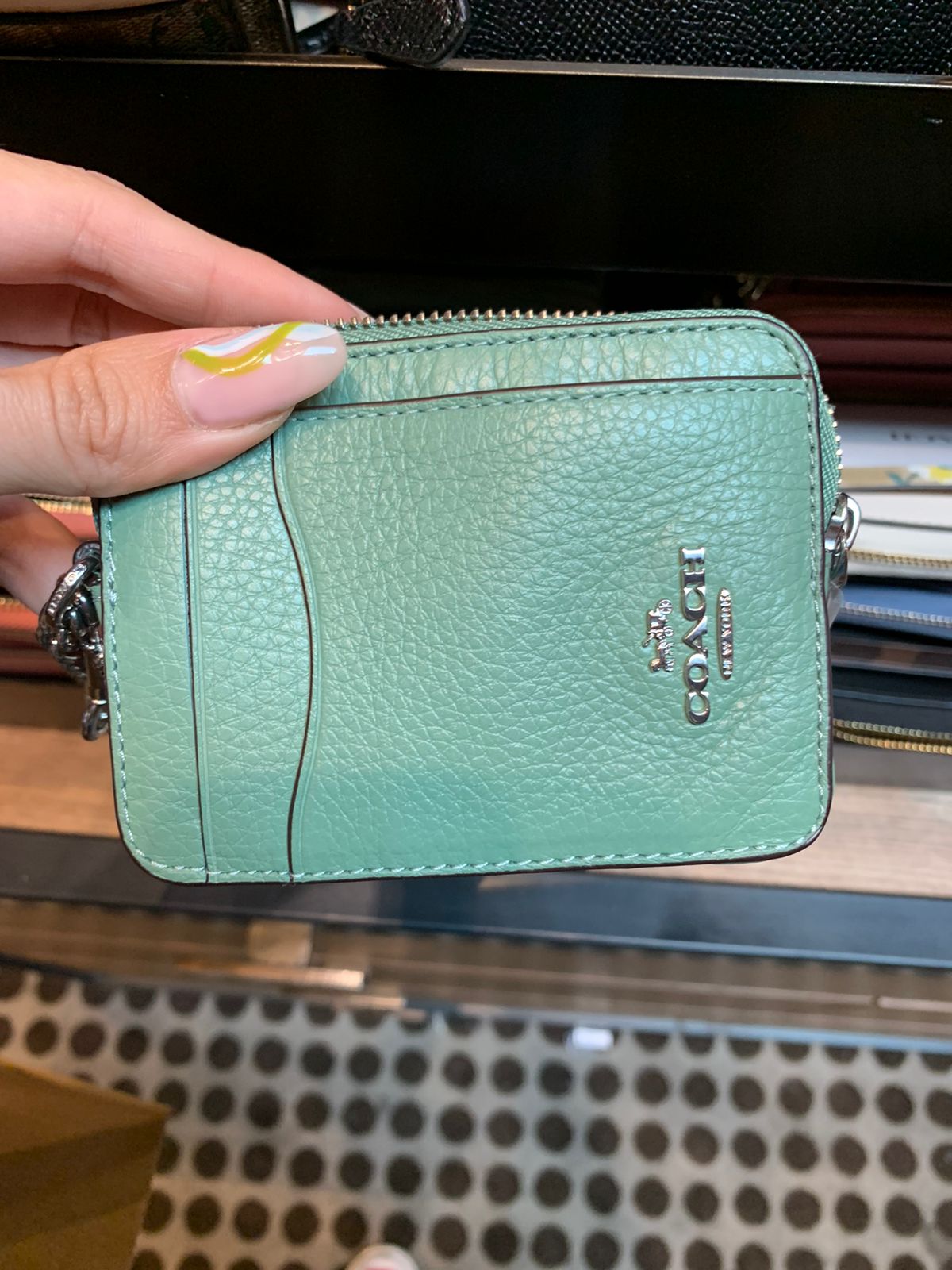 Mini Cartera con Cadena~ Mint