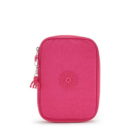 Copia de 100 Pens Case