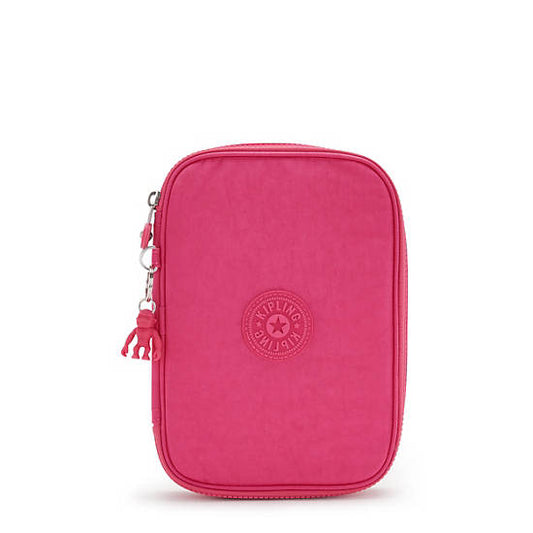 Copia de 100 Pens Case