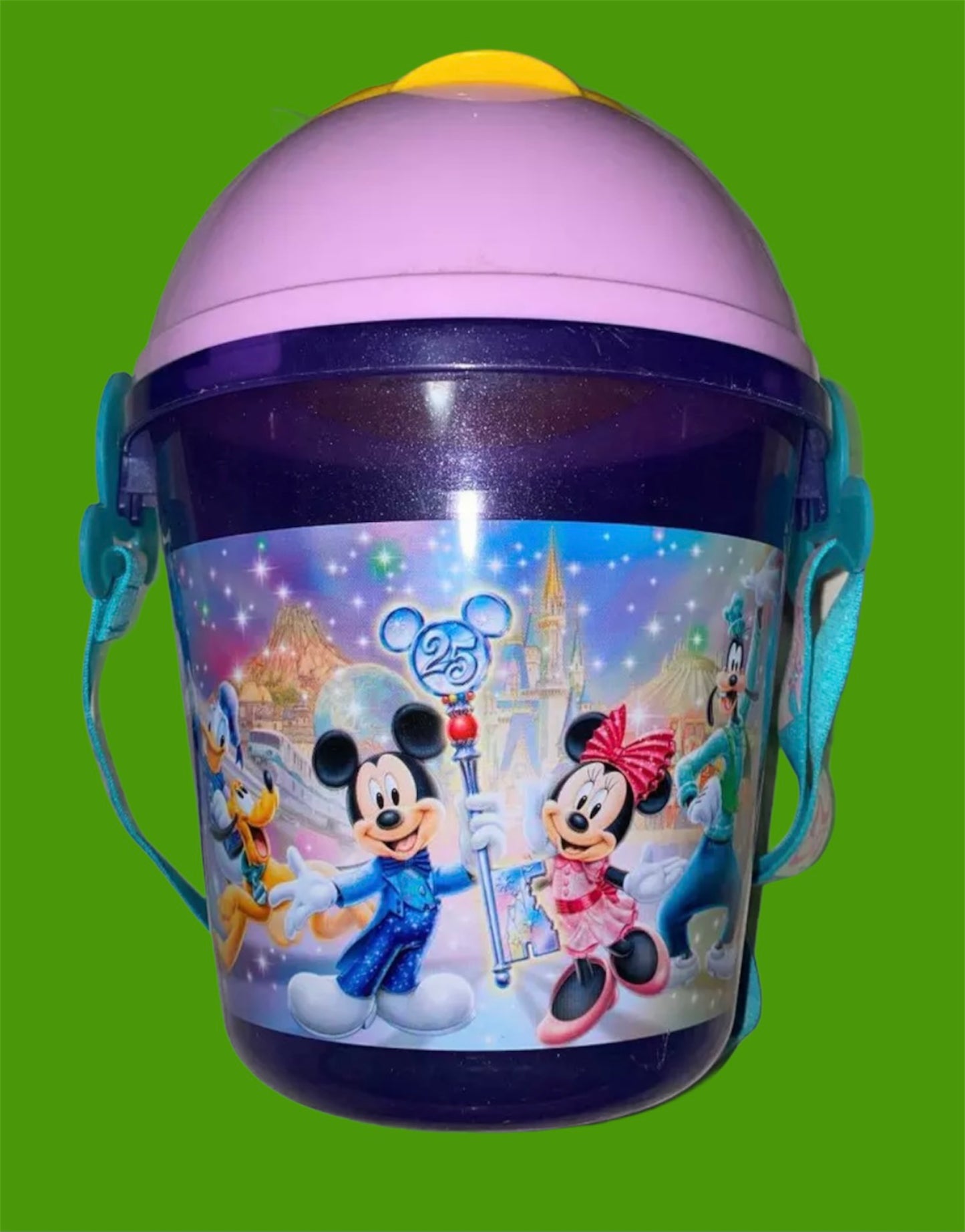 Disney Tokyo Resorts Palomera Campanita