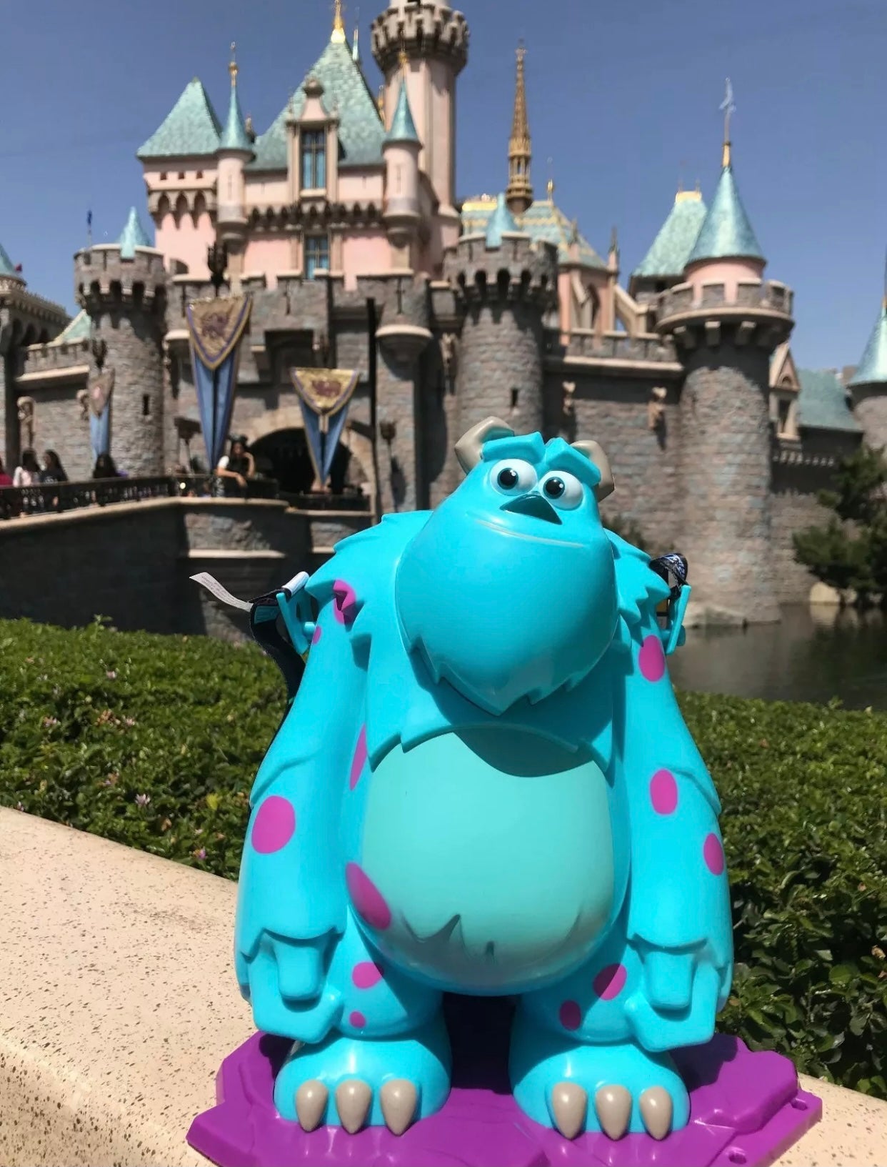 Disney Tokyo Resorts Palomera Sulley Monsters Inc